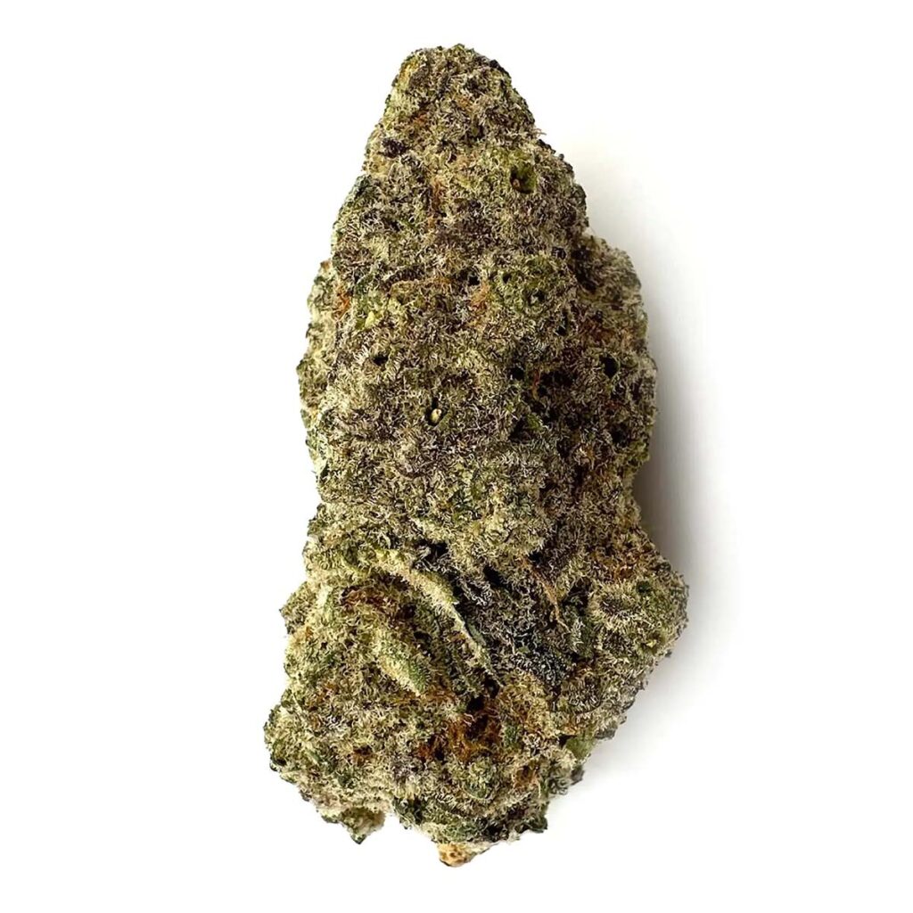 Mac 1 (Cantourage) THC 25%, CBD <1% 5 Zdjęcie suszu marihuany odmiany Mac 1 – kompaktowy, jasnozielony pąk pokryty gęstą warstwą białych trichomów, z bursztynowymi włoskami dodającymi kontrastu.