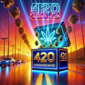grafika promująca 420 OUTDOOR BOX AUTO – limitowany zestaw 10 automatycznych nasion konopi. Na tle zachodu słońca z palmami widoczny jest futurystyczny, neonowy box z logo 420, otoczony unoszącymi się pąkami konopi. Jasne, energetyczne barwy i efektowne światła podkreślają ekskluzywny charakter produktu