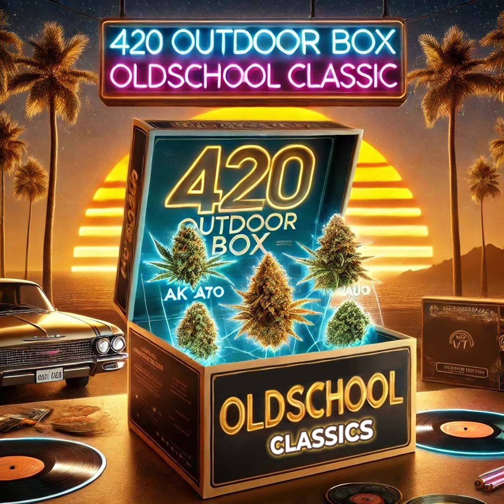 420 OUTDOOR BOX OLDSCHOOL CLASSIC – Legendy w wersji autoflowering do Twojej kolekcji! 1 grafika promująca 420 OUTDOOR BOX OLDSCHOOL CLASSIC – zestaw 5 automatycznie kwitnących klasyków konopi. Na tle nostalgicznego zachodu słońca z palmami widoczny jest otwarty neonowy box z unoszącymi się świetlistymi pąkami konopi. Klimat retro podkreślają winylowe płyty, klasyczny samochód i złoto-pomarańczowa kolorystyka, nawiązująca do oldschoolowych odmian marihuany