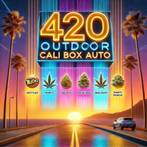 Dynamiczna grafika promująca 420 OUTDOOR CALI BOX AUTO – zestaw 5 automatycznych odmian nasion marihuany z Kalifornii. Na tle zachodu słońca z palmami i neonowym szyldem widoczne są szczepy: Zkittlez, Runtz, Gelato, Do-Si-Dos, Jealousy i Panty Punch. Kolorowa, futurystyczna kompozycja podkreśla ekskluzywny i limitowany charakter produktu