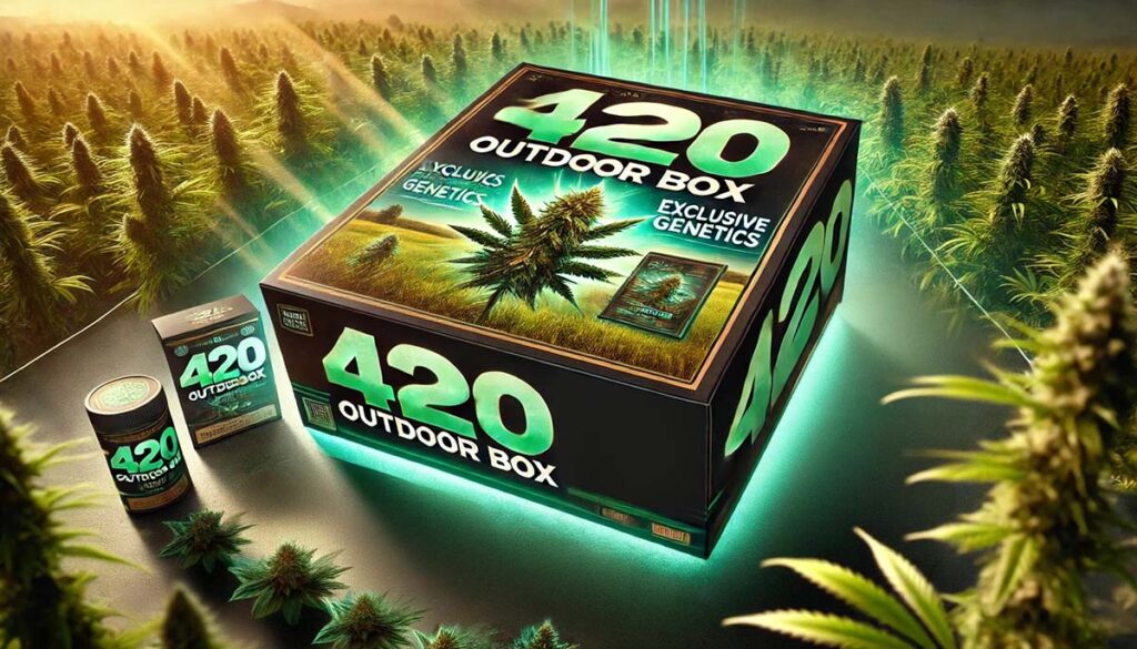 Dynamiczny baner promocyjny dla „420 Outdoor Box 2025” w proporcjach 16:9. Tło przedstawia zielone pole konopi oświetlone naturalnym światłem słonecznym, symbolizujące uprawę outdoor. Na pierwszym planie widoczny jest elegancki, dobrze oznakowany produktowy box „420 Outdoor Box”, z subtelnymi akcentami sugerującymi różnorodność zawartych w nim nasion. Na obrazie umieszczone są wyróżniające się napisy podkreślające kluczowe cechy produktu, takie jak „Ekskluzywne genetyki”, „Limitowana edycja – tylko 100 zestawów dostępnych!”, „Zamów w przedsprzedaży i skorzystaj z rabatów”. Całość utrzymana w żywych zielonych i ziemistych tonach, nadając banerowi nowoczesny, profesjonalny i przyciągający uwagę wygląd.