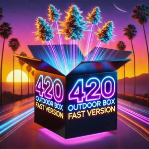 Efektowna grafika promująca 420 OUTDOOR BOX FAST VERSION – limitowany zestaw 5 feminizowanych nasion konopi typu Fast Version. Na tle kalifornijskiego zachodu słońca z palmami widoczny jest futurystyczny, neonowy box z otwartym wiekiem, z którego unoszą się świetliste pąki konopi. Dynamiczne światła i motyw szybkości podkreślają wyjątkową genetykę i ekskluzywność produktu
