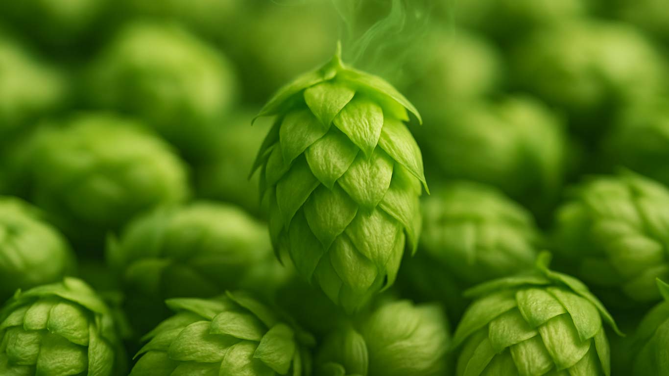 Szyszka chmielu na tle rozmytych szyszek, z której unosi się zielony dym – symbol waporyzacji