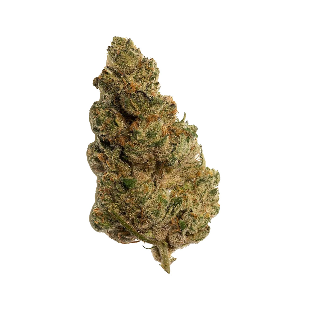 Farm Gas Aurora THC 27%, CBD<1% 1 Farm Gas 27 Aurora – susz konopi medycznych z THC 27% i intensywnym profilem aromatycznym