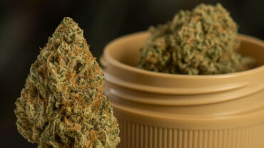 Zbliżenie suszu medycznej marihuany Deep Breath o intensywnie zielonym kolorze i pomarańczowych słupkach, obok plastikowego pojemnika z suszem konopnym.