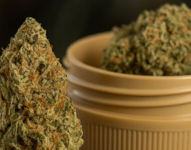 Zbliżenie suszu medycznej marihuany Deep Breath o intensywnie zielonym kolorze i pomarańczowych słupkach, obok plastikowego pojemnika z suszem konopnym.