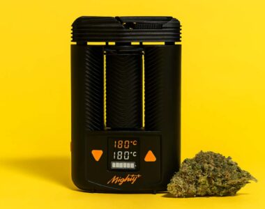 Waporyzator Mighty+ obok suszu medycznej marihuany, nowoczesne urządzenie do waporyzacji