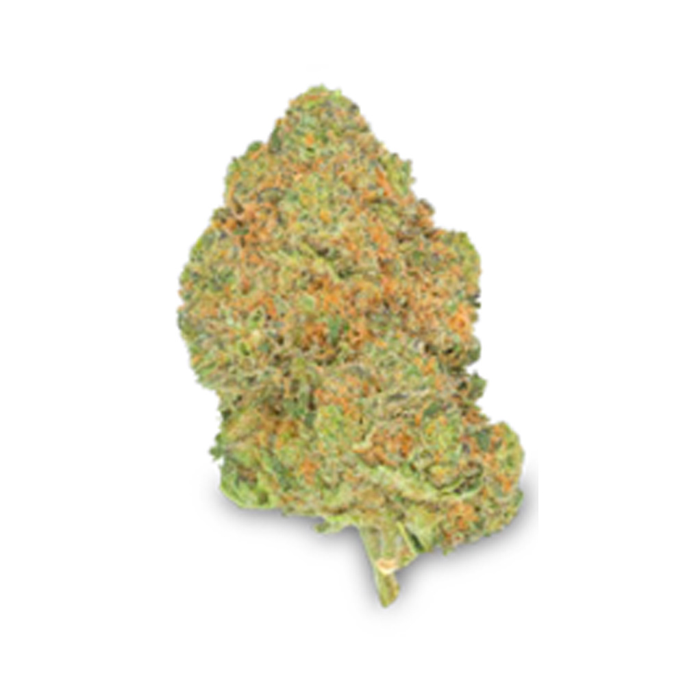 Black Jelly – Recenzja Odmiany. Słodka Lukrecja i Potężne Uderzenie 27% THC 1 Medyczna marihuana Black Jelly Aurora - wygląd suszu. Wysokiej jakości pąk o wysokim stężeniu THC 27%.