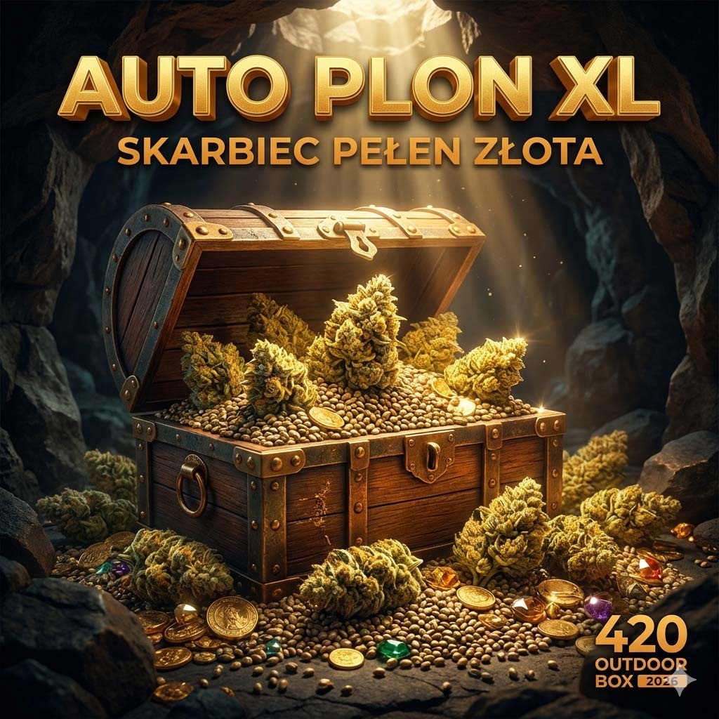 420 Outdoor BOX - ZESTAW AUTO PLON XL – Moc i wydajność w Twojej kolekcji 1 Zestaw nasion konopi AUTO Plon XL – 5 wysokoplonujących odmian autoflowering w skrzyni skarbów pełnej nasion i pąków konopi, złote monety, 420 Outdoor Box 2026